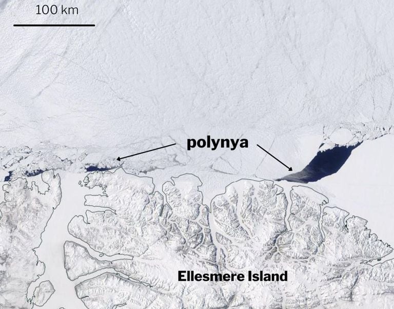 15-10-2021 En mayo de 2020, se observó por primera vez una polinia de 3.000 kilómetros cuadrados al norte de la isla de Ellesmere. La grieta se formó en la Última Zona de Hielo, que se espera sea el último bastión de hielo marino en el Ártico que se calienta..  Un nuevo estudio documenta la formación de un agujero de 3.000 kilómetros cuadrados en el hielo marino del Océano Ártico más antiguo y grueso.  POLITICA INVESTIGACIÓN Y TECNOLOGÍA NASA EOSDIS WORLDVIEW