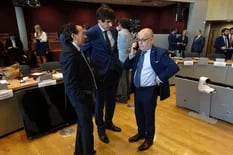 Mercosur-UE. El Gobierno cree que en 2021 estará operativo el acuerdo comercial