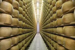 Un productor italiano de 74 años murió aplastado por 25.000 hormas de queso