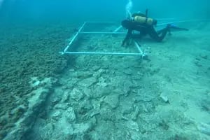 Encuentran debajo del mar un misterioso asentamiento humano de hace 7000 años