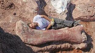 Los paleontólogos han encontrado muchos fósiles del patagotitan