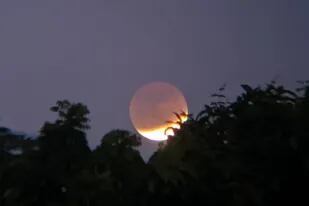 Las mejores fotos del eclipse lunar parcial compartidas en las redes