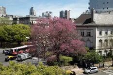Una nube rosada cubre la ciudad de Buenos Aires y confirma que llegó la primavera