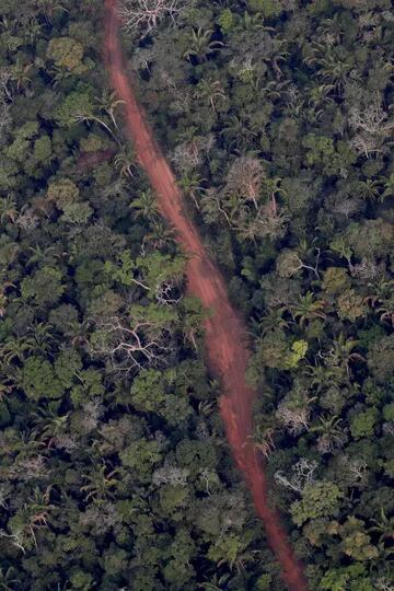 Los incendios forestales han aumentado en Mato Grosso y Pará, dos estados agrícolas que han empujado la agricultura hacia la cuenca del Amazonas y donde se ha estimulado la deforestación desde que asumió el presidente