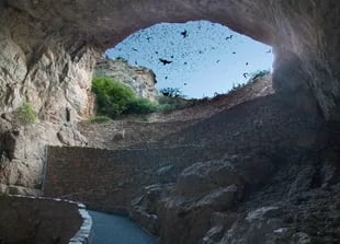 Entrada de la cueva de Lechuguilla, considerada la quinta más extensa de todo el mundo (Michael Patane - Google)