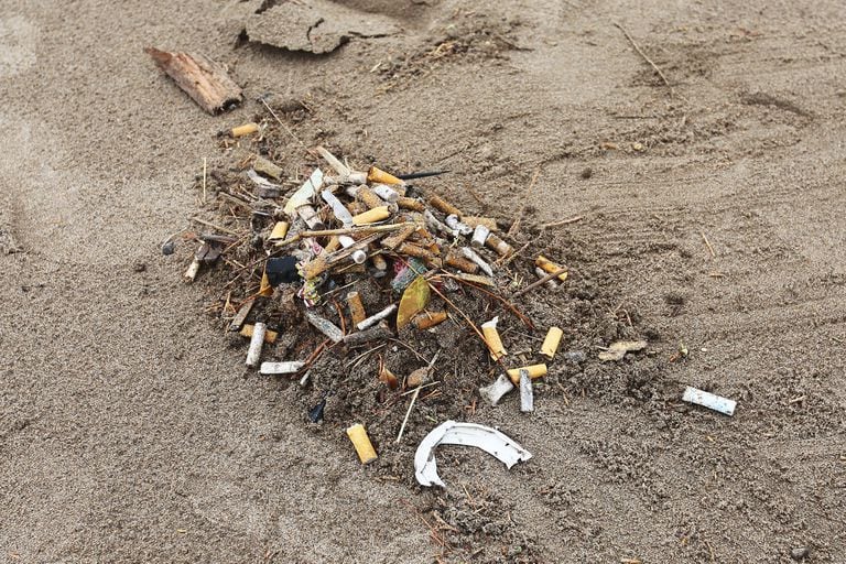 Cigarette butts on the beaches of Pinamar