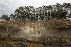 Descubren un bosque fosilizado que estuvo oculto por 290 millones de años