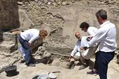 Encontraron una tortuga casi intacta con su huevo nunca puesto en las ruinas de Pompeya