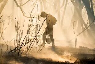 El trabajo de los voluntarios en la lucha contra los incendios de los humedales