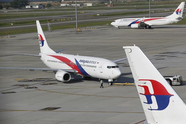 They claim they found a piece of the Malaysia Airlines plane and unleashed a chilling hypothesis.