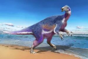 Nueva especie de dinosaurio con temibles garras hallada en Japón