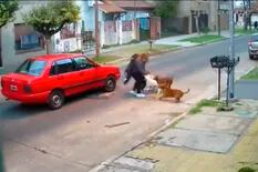 Impactante: tres perros pitbull rodearon y atacaron a una mujer en la calle