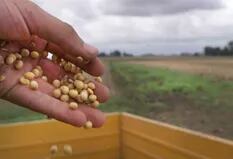 La Argentina aporta el 11% de los alimentos que se comercializan en el mundo