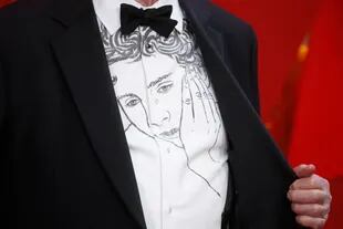 Un close up de la camisa de James Ivory con el rostro de Elio Perlman