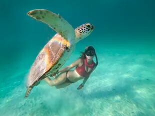 Nadar con tortugas marinas, una de las propuestas de las excursiones en catamarán