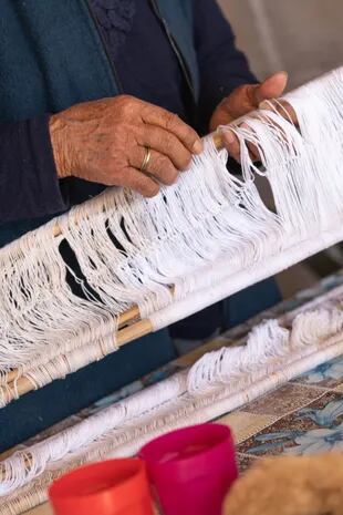 La lana de vicuña es la más apreciada en el mundo por su calidad y cualidades