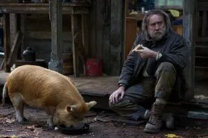 Pig: Nicolas Cage se transforma para interpretar a un hombre melancólico que pierde a su cerdo