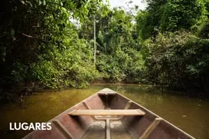 Selva, río, animales exóticos y opciones de lujo en la parte menos famosa de la selva