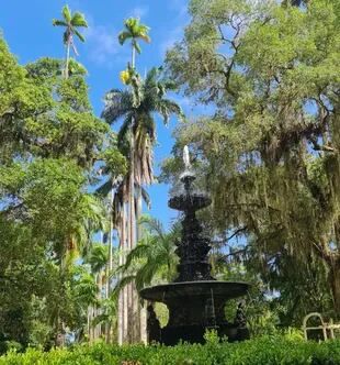 Este es el jardín botánico más antiguo de América del Sur, declarado Patrimonio de la Humanidad.