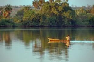 El río Gambia riega los arrozales, pero la intrusión de agua salada amenaza los cultivos